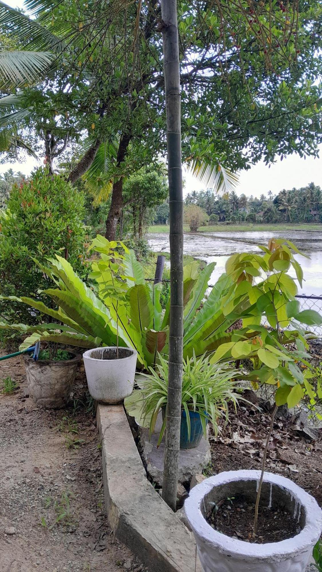 Field Island Villa - 阿杭格默 外观 照片