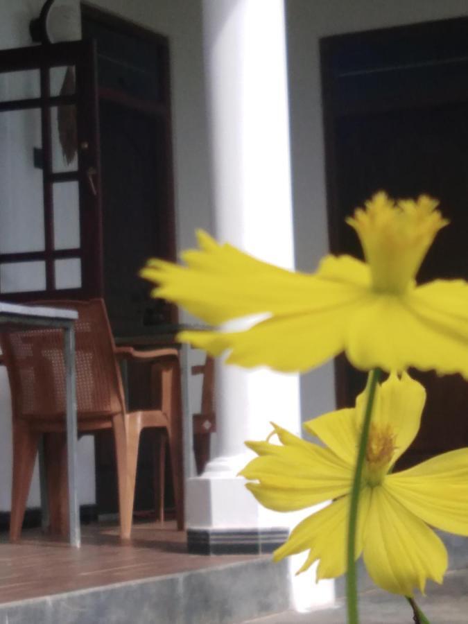 Field Island Villa - 阿杭格默 外观 照片